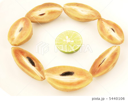 サポジラとライム サポジラとライム 5440106