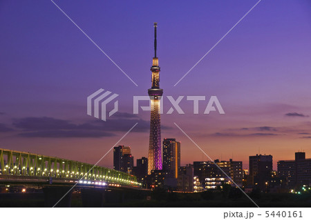 夕暮れの東京スカイツリー（雅・ライトアップ） 5440161