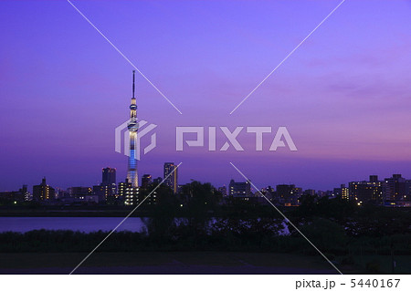 東京スカイツリー・粋 荒川土手(四つ木) 東京スカイツリー・粋 荒川土手(四つ木) 5440167