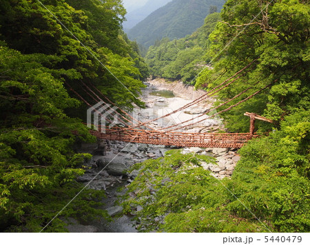 かずら橋 かずら橋 5440479