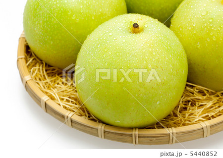 二十世紀梨 5440852