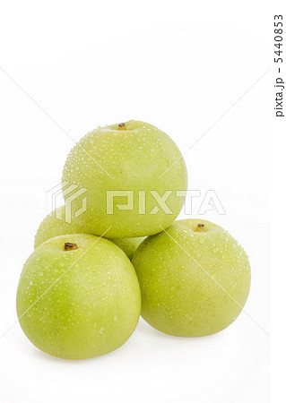 二十世紀梨　重ねる 5440853