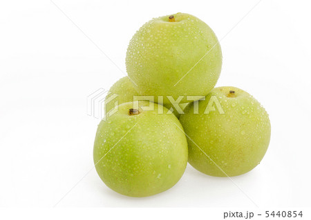 二十世紀梨　重ねる 5440854