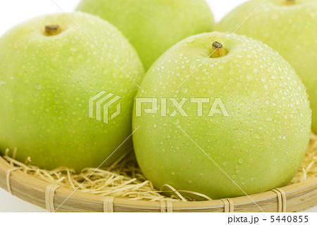 二十世紀梨 5440855