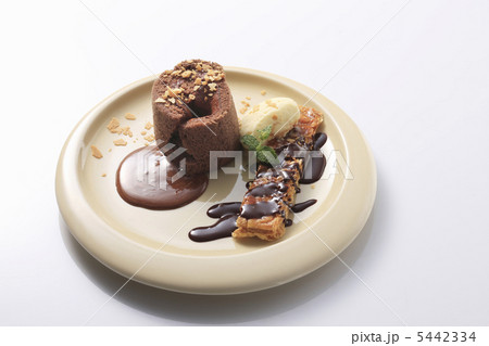 チョコレートのロールケーキ 5442334