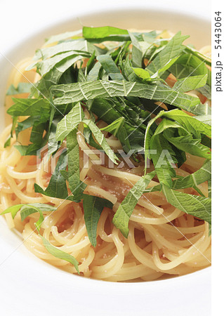 たらこスパゲティ 5443064