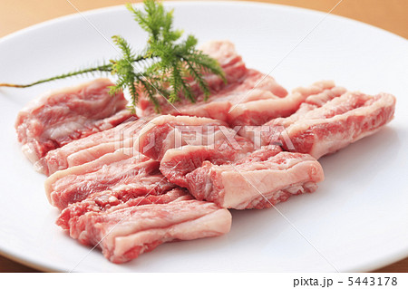 骨付きカルビ 5443178