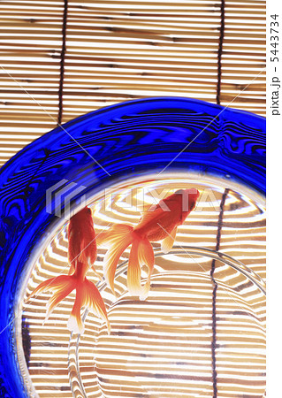 金魚鉢 金魚鉢 5443734