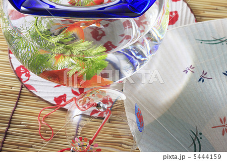 金魚鉢と団扇と簾 5444159