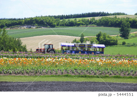 フラワーランド 5444551