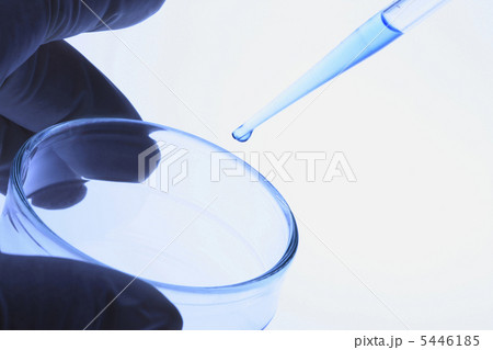 シャーレとスポイド 5446185