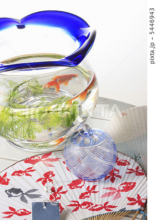 風鈴と団扇とスダレと金魚鉢 5446943
