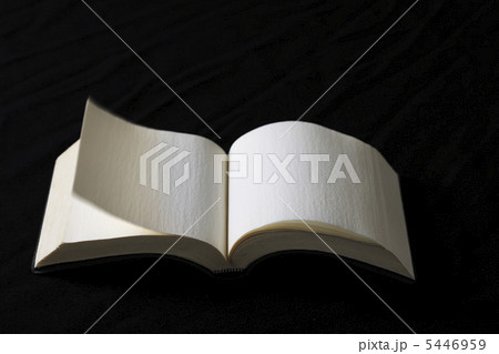 ページを捲る ページを捲る 5446959