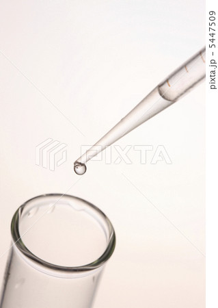 実験イメージ 5447509