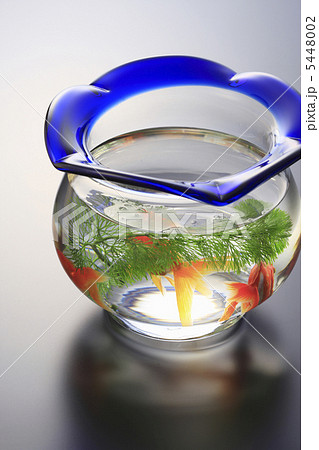 金魚鉢 金魚鉢 5448002