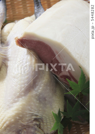 鶏肉とイノシシの肉 5448282