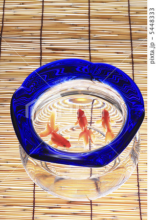 金魚鉢 5448333
