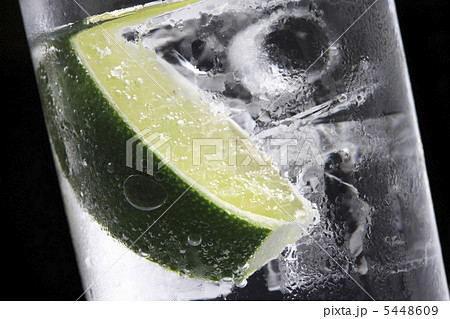 ジントニック 5448609