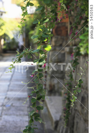 石塀小路 5450563