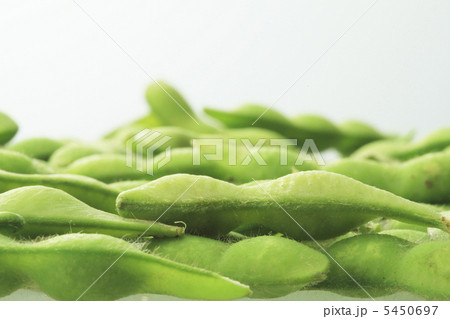 枝豆 5450697