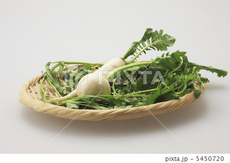 春の七草 5450720
