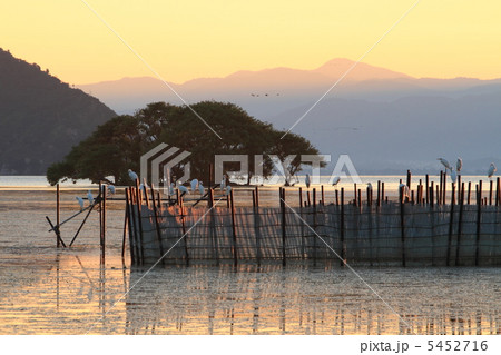 琵琶湖夕景 5452716