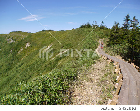 尾瀬　アヤメ平 5452993