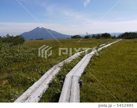 尾瀬 アヤメ平 尾瀬 アヤメ平 5452995
