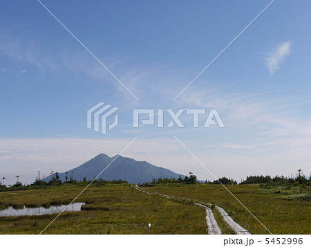 尾瀬　アヤメ平 5452996