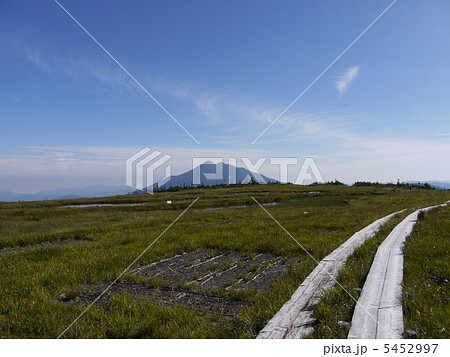 尾瀬 アヤメ平 尾瀬 アヤメ平 5452997