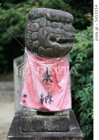 狛犬 5453554