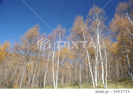 高峰高原 5453755