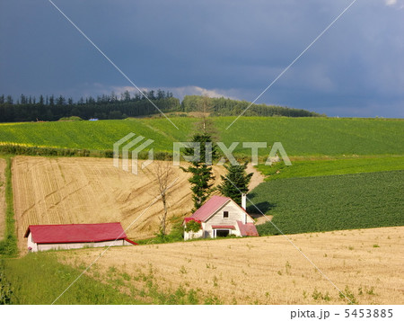 メルヘンの丘 美瑛町 メルヘンの丘 美瑛町 5453885