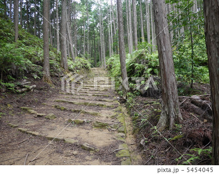 熊野古道中辺路 熊野古道中辺路 5454045