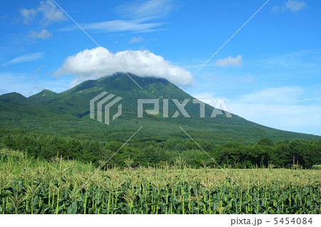 岩木山麓とうもろこし畑 5454084