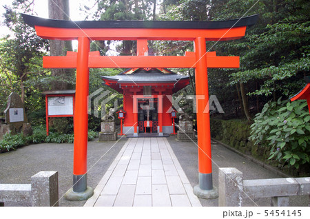 箱根神社　九頭龍神社新宮 5454145