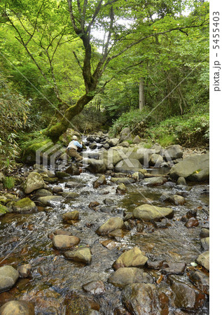 フライフィッシング 5455403