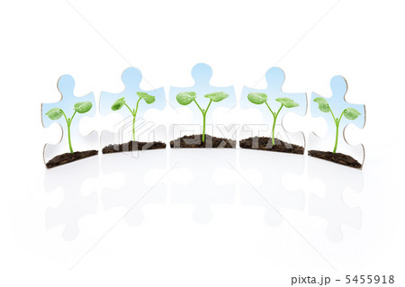 エコイメージ 5455918