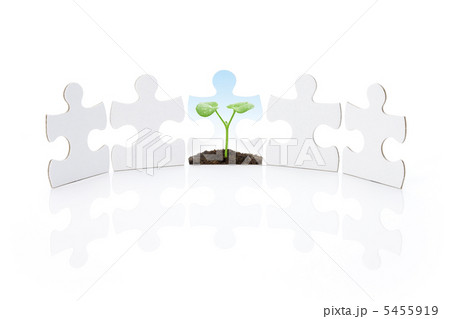 エコイメージ エコイメージ 5455919