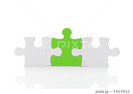 パズルピース 5455932