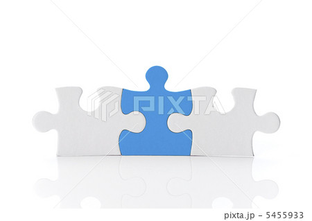 パズルピース 5455933