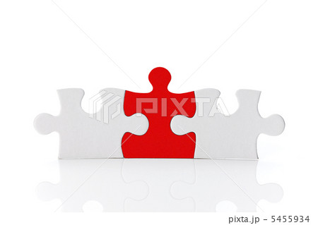 パズルピース 5455934
