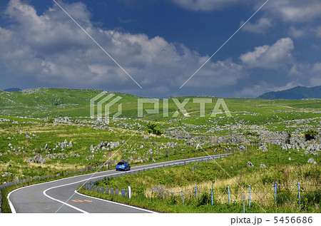 秋吉台　カルスト台地 5456686