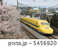 ピンクと黄色 5456920