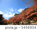 清水寺 5456934
