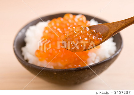 イクラ 5457287