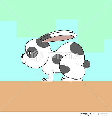 パンダウサギ パンダウサギ 5457778