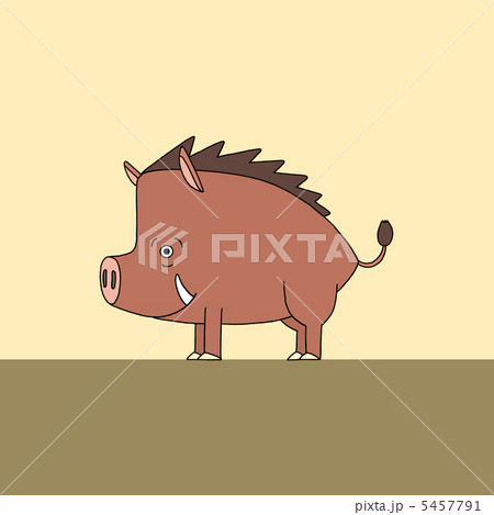 イノシシ 5457791