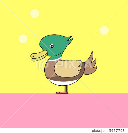 カモ 5457793