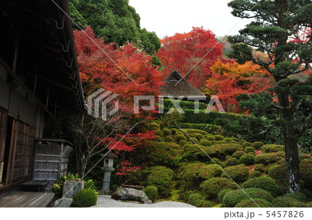 京都　秋の金福寺 5457826